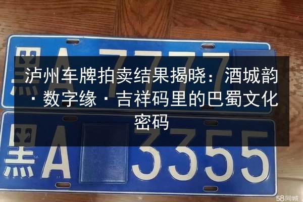 泸州车牌拍卖结果揭晓：酒城韵·数字缘·吉祥码里的巴蜀文化密码 第3张
