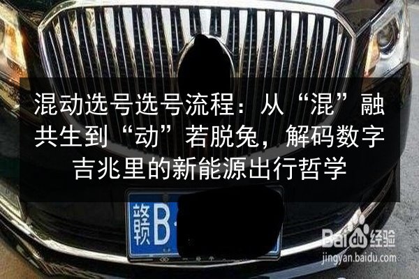 混动选号选号流程：从“混”融共生到“动”若脱兔，解码数字吉兆里的新能源出行哲学
