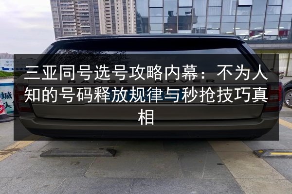 三亚同号选号攻略内幕：不为人知的号码释放规律与秒抢技巧真相 第2张