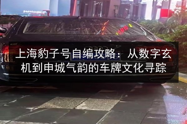 上海豹子号自编攻略:从数字玄机到申城气韵的车牌文化寻踪 第2张 上海豹子号自编攻略:从数字玄机到申城气韵的车牌文化寻踪 第2张