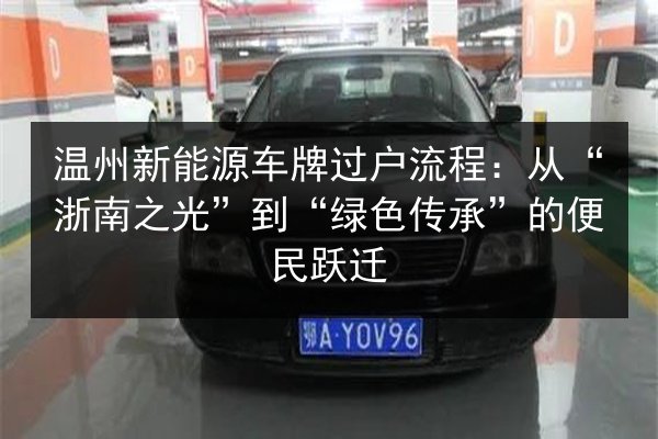 温州新能源车牌过户流程：从“浙南之光”到“绿色传承”的便民跃迁