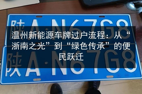 温州新能源车牌过户流程:从“浙南之光”到“绿色传承”的便民跃迁 第2张 温州新能源车牌过户流程:从“浙南之光”到“绿色传承”的便民跃迁 第2张