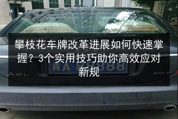 攀枝花车牌改革进展如何快速掌握?3个实用技巧助你高效应对新规 第2张 攀枝花车牌改革进展如何快速掌握?3个实用技巧助你高效应对新规 第2张