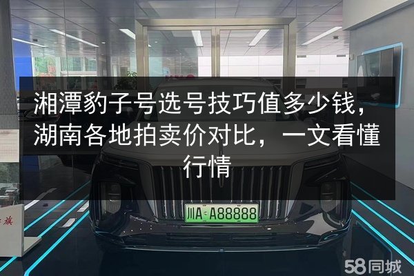 湘潭豹子号选号技巧值多少钱，湖南各地拍卖价对比，一文看懂行情
