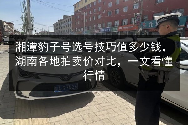 湘潭豹子号选号技巧值多少钱,湖南各地拍卖价对比,一文看懂行情 第2张 湘潭豹子号选号技巧值多少钱,湖南各地拍卖价对比,一文看懂行情 第2张