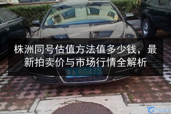 株洲同号估值方法值多少钱，最新拍卖价与市场行情全解析