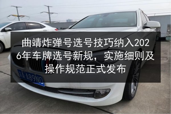 曲靖炸弹号选号技巧纳入2026年车牌选号新规，实施细则及操作规范正式发布 第2张