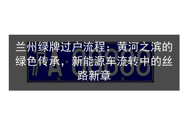 兰州绿牌过户流程:黄河之滨的绿色传承,新能源车流转中的丝路新章 第2张 兰州绿牌过户流程:黄河之滨的绿色传承,新能源车流转中的丝路新章 第2张