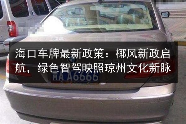 海口车牌最新政策：椰风新政启航，绿色智驾映照琼州文化新脉