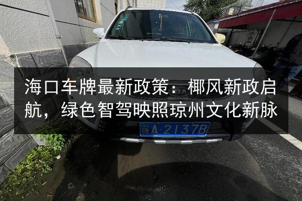 海口车牌最新政策：椰风新政启航，绿色智驾映照琼州文化新脉 第2张