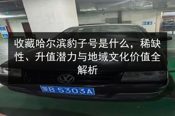 收藏哈尔滨豹子号是什么,稀缺性、升值潜力与地域文化价值全解析 第2张 收藏哈尔滨豹子号是什么,稀缺性、升值潜力与地域文化价值全解析 第2张