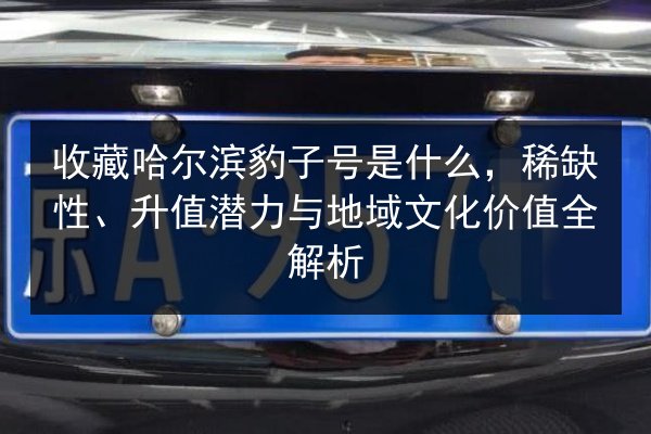 收藏哈尔滨豹子号是什么,稀缺性、升值潜力与地域文化价值全解析 第3张 收藏哈尔滨豹子号是什么,稀缺性、升值潜力与地域文化价值全解析 第3张