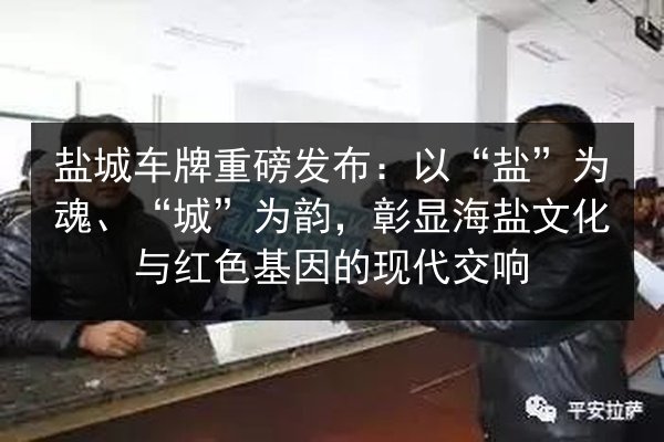 盐城车牌重磅发布:以“盐”为魂、“城”为韵,彰显海盐文化与红色基因的现代交响 第1张 盐城车牌重磅发布:以“盐”为魂、“城”为韵,彰显海盐文化与红色基因的现代交响 第1张