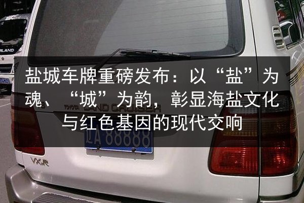 盐城车牌重磅发布:以“盐”为魂、“城”为韵,彰显海盐文化与红色基因的现代交响 第2张 盐城车牌重磅发布:以“盐”为魂、“城”为韵,彰显海盐文化与红色基因的现代交响 第2张