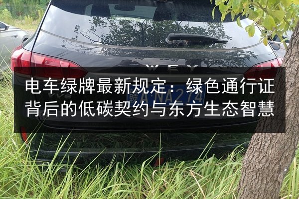 电车绿牌最新规定:绿色通行证背后的低碳契约与东方生态智慧 第2张 电车绿牌最新规定:绿色通行证背后的低碳契约与东方生态智慧 第2张