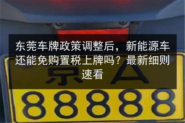东莞车牌政策调整后，新能源车还能免购置税上牌吗？最新细则速看
