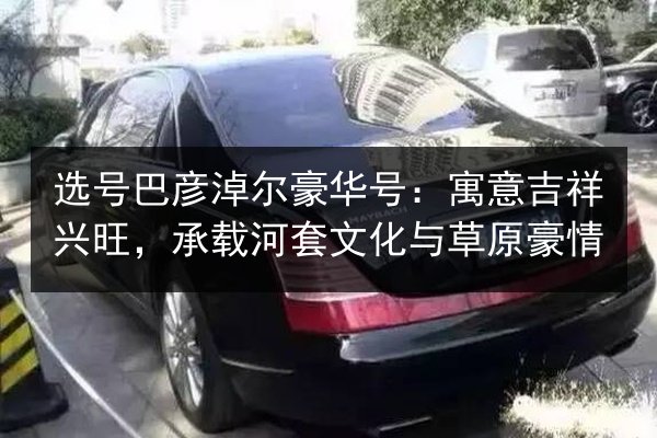 选号巴彦淖尔豪华号:寓意吉祥兴旺,承载河套文化与草原豪情 第1张 选号巴彦淖尔豪华号:寓意吉祥兴旺,承载河套文化与草原豪情 第1张