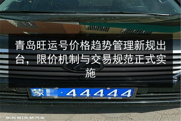 青岛旺运号价格趋势管理新规出台，限价机制与交易规范正式实施