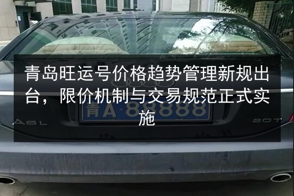青岛旺运号价格趋势管理新规出台,限价机制与交易规范正式实施 第3张 青岛旺运号价格趋势管理新规出台,限价机制与交易规范正式实施 第3张