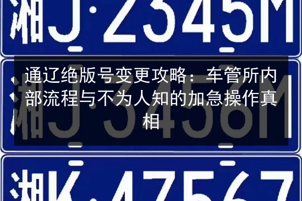 通辽绝版号变更攻略：车管所内部流程与不为人知的加急操作真相 第2张