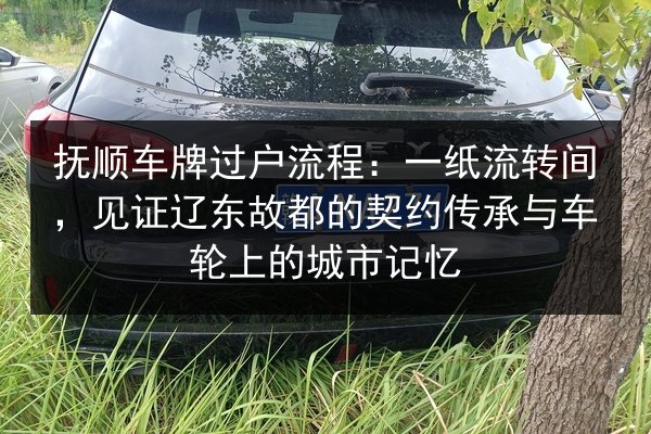抚顺车牌过户流程:一纸流转间,见证辽东故都的契约传承与车轮上的城市记忆 第2张 抚顺车牌过户流程:一纸流转间,见证辽东故都的契约传承与车轮上的城市记忆 第2张
