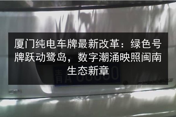厦门纯电车牌最新改革：绿色号牌跃动鹭岛，数字潮涌映照闽南生态新章 第2张