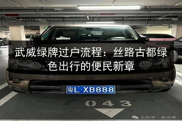 武威绿牌过户流程:丝路古都绿色出行的便民新章 第2张 武威绿牌过户流程:丝路古都绿色出行的便民新章 第2张
