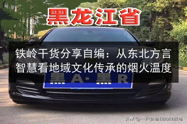 铁岭干货分享自编：从东北方言智慧看地域文化传承的烟火温度