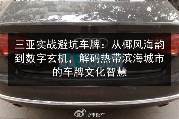 三亚实战避坑车牌:从椰风海韵到数字玄机,解码热带滨海城市的车牌文化智慧 第2张 三亚实战避坑车牌:从椰风海韵到数字玄机,解码热带滨海城市的车牌文化智慧 第2张