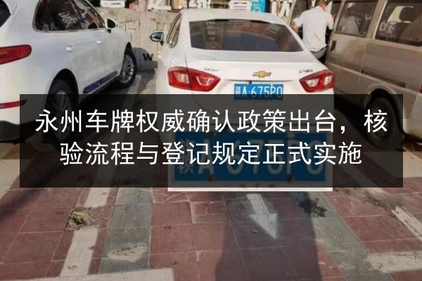 永州车牌权威确认政策出台，核验流程与登记规定正式实施