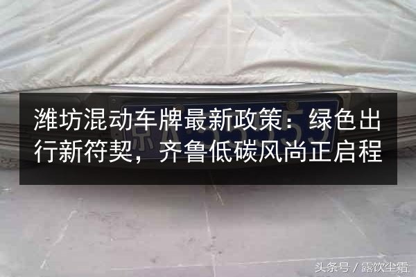 潍坊混动车牌最新政策：绿色出行新符契，齐鲁低碳风尚正启程