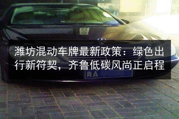 潍坊混动车牌最新政策:绿色出行新符契,齐鲁低碳风尚正启程 第3张 潍坊混动车牌最新政策:绿色出行新符契,齐鲁低碳风尚正启程 第3张