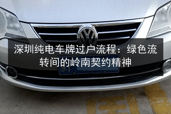深圳纯电车牌过户流程:绿色流转间的岭南契约精神 第2张 深圳纯电车牌过户流程:绿色流转间的岭南契约精神 第2张