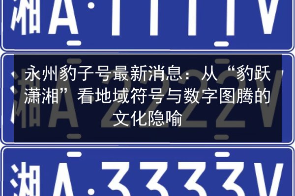 永州豹子号最新消息：从“豹跃潇湘”看地域符号与数字图腾的文化隐喻