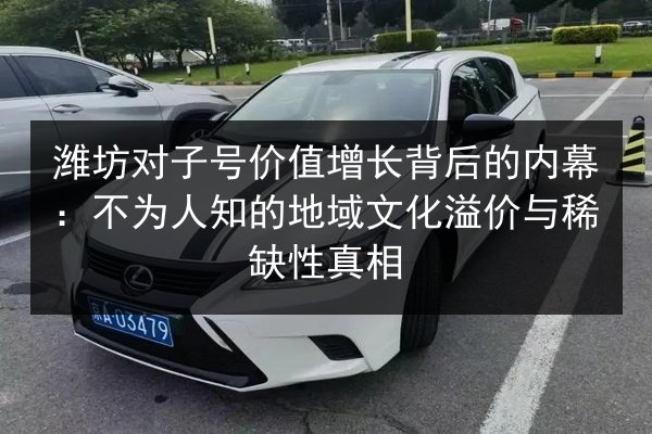 潍坊对子号价值增长背后的内幕：不为人知的地域文化溢价与稀缺性真相