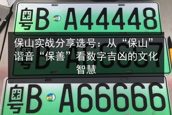 保山实战分享选号：从“保山”谐音“保善”看数字吉凶的文化智慧 第3张