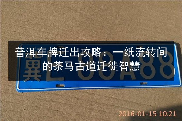 普洱车牌迁出攻略：一纸流转间的茶马古道迁徙智慧 第3张