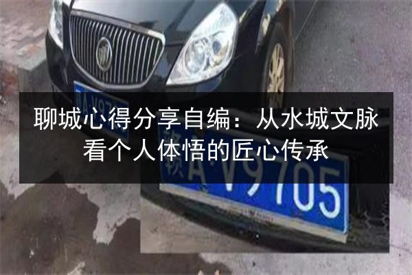 聊城心得分享自编：从水城文脉看个人体悟的匠心传承 第2张
