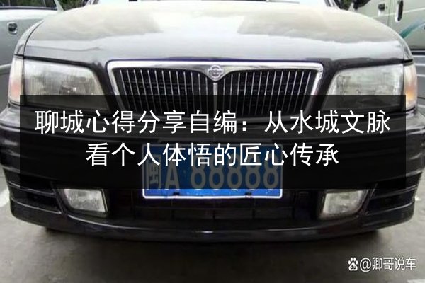 聊城心得分享自编：从水城文脉看个人体悟的匠心传承 第3张