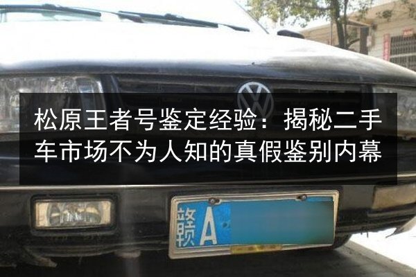 松原王者号鉴定经验：揭秘二手车市场不为人知的真假鉴别内幕