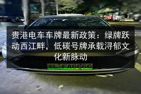 贵港电车车牌最新政策:绿牌跃动西江畔,低碳号牌承载浔郁文化新脉动 第3张 贵港电车车牌最新政策:绿牌跃动西江畔,低碳号牌承载浔郁文化新脉动 第3张