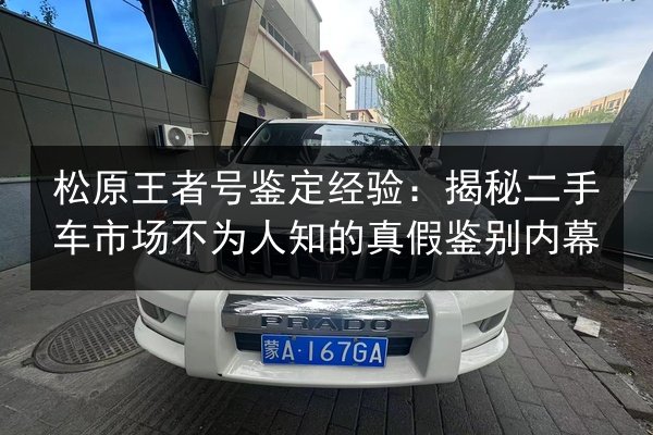 松原王者号鉴定经验：揭秘二手车市场不为人知的真假鉴别内幕 第2张
