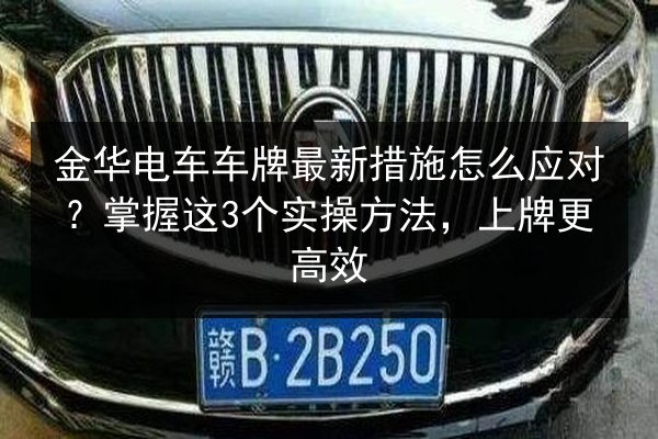 金华电车车牌最新措施怎么应对?掌握这3个实操方法,上牌更高效 第2张 金华电车车牌最新措施怎么应对?掌握这3个实操方法,上牌更高效 第2张