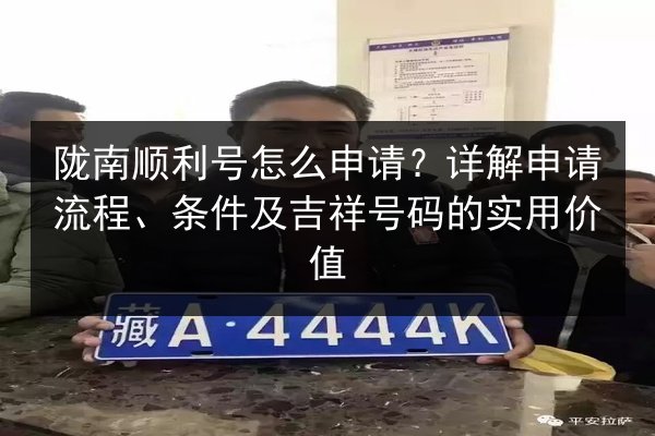 陇南顺利号怎么申请？详解申请流程、条件及吉祥号码的实用价值