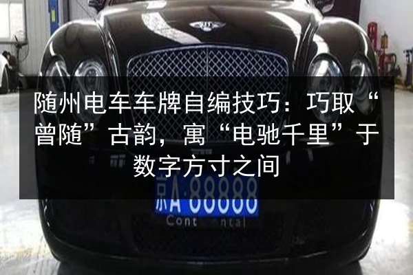 随州电车车牌自编技巧：巧取“曾随”古韵，寓“电驰千里”于数字方寸之间