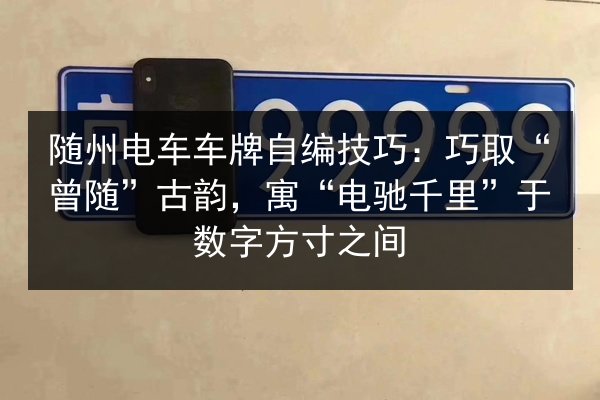 随州电车车牌自编技巧：巧取“曾随”古韵，寓“电驰千里”于数字方寸之间 第2张