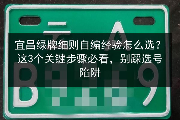 随州电车车牌自编技巧：巧取“曾随”古韵，寓“电驰千里”于数字方寸之间 第3张