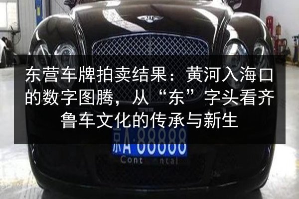 东营车牌拍卖结果:黄河入海口的数字图腾,从“东”字头看齐鲁车文化的传承与新生 第1张 东营车牌拍卖结果:黄河入海口的数字图腾,从“东”字头看齐鲁车文化的传承与新生 第1张