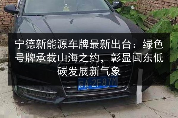 宁德新能源车牌最新出台：绿色号牌承载山海之约，彰显闽东低碳发展新气象 第2张