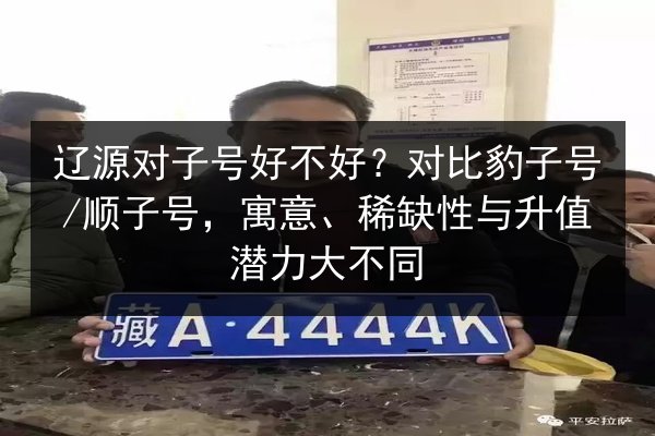 辽源对子号好不好?对比豹子号_顺子号,寓意、稀缺性与升值潜力大不同 第2张 辽源对子号好不好?对比豹子号_顺子号,寓意、稀缺性与升值潜力大不同 第2张